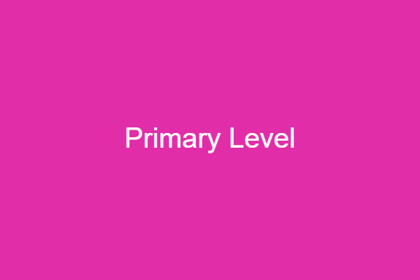 Primary Level